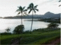 Digital Picture Gallery - Right Animated Banner GIF