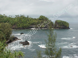 Onomea Bay, Hamakua Coast, Big Island, Hawaii