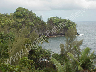 Onomea Bay, Hamakua Coast, Big Island, Hawaii