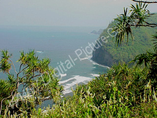 View of Kohala Coast from Makapala, Big Island, Hawaii