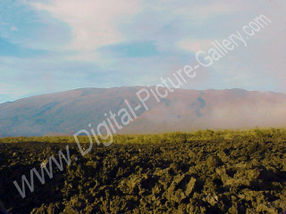Lava Fields with Mauna Kea in Background, Big Isle, Hawaii