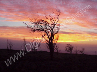 Spectacular Kona Sunset from Mamalahoa Hwy., Big Isle, Hawaii