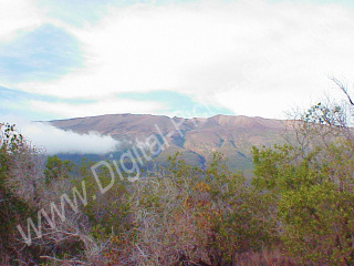 Mauna Kea in Background, Big Isle, Hawaii