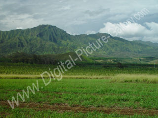 Mounts Kahili and Kapalaoa, Central Kauai, Hawaii