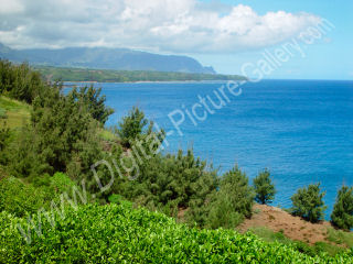 Kilauea Coastline to the West, Kauai, Hawaii