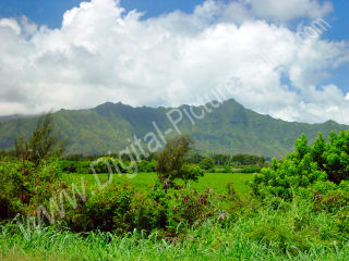 Mounts Kahili and Kekoiki, Makaleha Mountains, Kilauea, Kauai, Hawaii