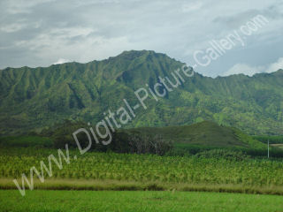 Mount Kahili, Central Kauai, Hawaii