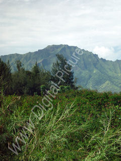 Mount Kahili, South Side, Island of Kauai, Hawaii 