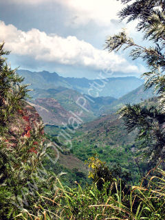Hanapepe Gulch, South Side, Island of Kauai, Hawaii 