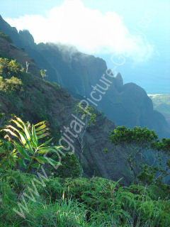 Kalalau Valley from Kokee, Na Pali Coast, Island of Kauai, Hawaii 