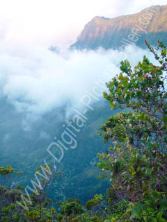 Kalalau Valley from Kokee, Na Pali Coast, Island of Kauai, Hawaii 