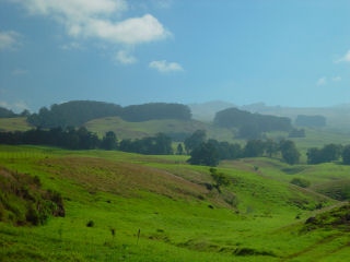 Cloudy Mist Covering Verdant Kula Pasture Lands, Upcountry East Maui, Hawaii