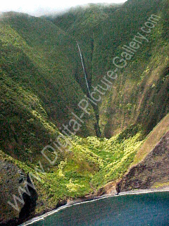 Papalaua Valley, North East Molokai, Hawaii