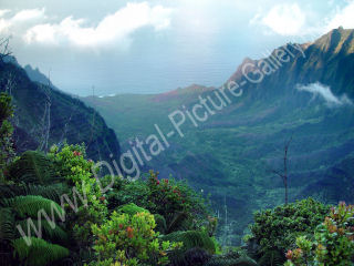 Kalalau Valley from Lookout, Na Pali Coast, Kauai, Hawaii