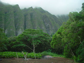 Koolau Cliffs and Clouds, Waimanalo, South Oahu, Hawaii