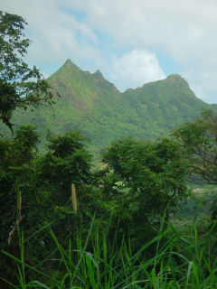 Puu Olomana, Maunawili by Kailua, Windward Oahu, Hawaii