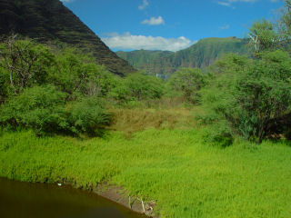 Looking into Makaha Valley on the Waianae Coast, Island of Oahu, Hawaii