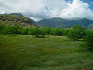 Puu Kaala (center) Puu Kalena (right) of Waianae Mountain Range from Maile Pasture, Leeward Oahu