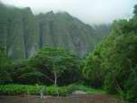 Koolau Mountain Cliffs, Waimanalo