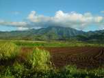Mount Kaala, Wailua, North Shore Oahu, Hawaii